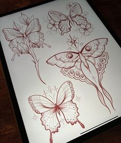 a drawing of three butterflies on a white sheet with red ink and some brown lines