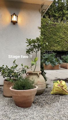 there are two large pots with plants in them on the ground next to a building