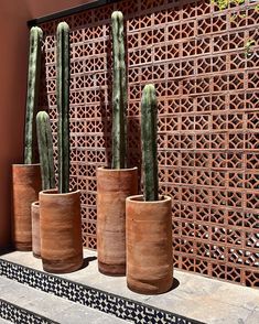 three large cactus plants in clay pots sitting on the steps next to a decorative wall