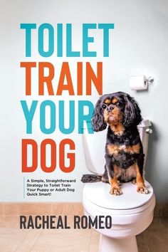 a dog sitting on top of a toilet seat in front of a wall with the words toilet train your dog