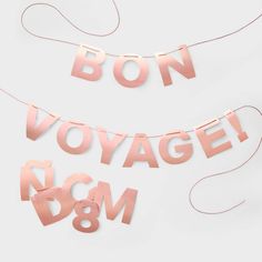 two pink foil letters that say bon voyage and d & m are hanging on a string