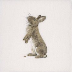 a drawing of a rabbit sitting on its hind legs