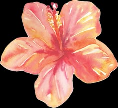 a painting of a pink flower on a white background