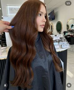 Chestnut Hair, Chestnut Hair Color, Glossy Hair, Brown Hair Balayage, Hair Balayage, Hair Makeover, Hair St, Dream Hair, Haircut Ideas