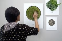 a woman is looking at pictures on the wall with plants growing in them and holding her hand up