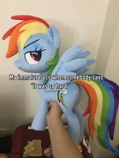 someone holding up a rainbow pony stuffed animal with caption that reads, ma immatre as when somebody says it was so hard