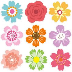 an assortment of colorful flowers on a white background