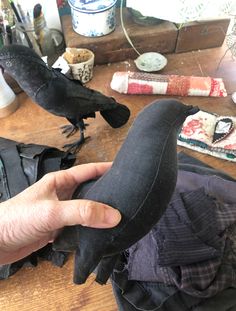 a person holding a piece of cloth in front of a bird on a table with other items