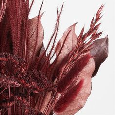 some red plants are in a vase on a white tablecloth and the background is blurry