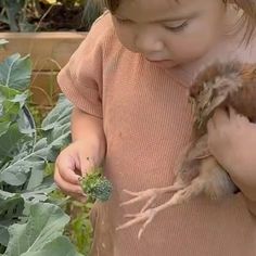 Fofuras Maternas🌸 on Instagram: "#nenem #bebe #trabalho #trabalhar #empreendedor #trabalhadores #mamaes #mamãe #chile #soumae #mamaestiktok" Vego Garden, Bed Full, Baby Chickens, The Little Things In Life, Little Things In Life, Kindness Matters, Little Garden, Raised Beds, Happy Moments