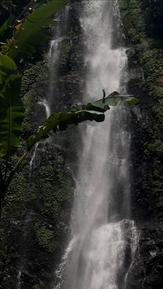 a large waterfall surrounded by lush green vegetation