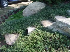 a truck is parked next to some rocks and plants on the ground in front of it