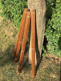 several wooden sticks sticking out of the bark of a tree in front of some bushes