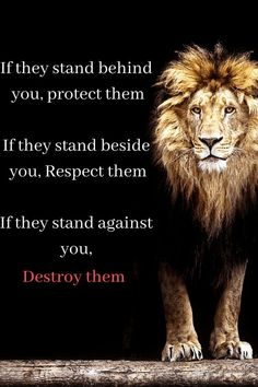 a lion standing in front of a black background with the words destroy them on it