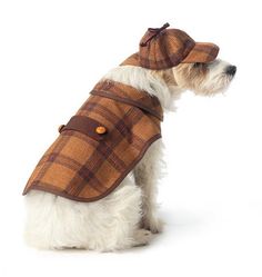 a dog wearing a coat and hat sitting on a white surface in front of a white background