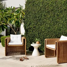 two wicker chairs sitting next to each other in front of a tall green hedge