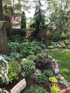 a garden with lots of plants and trees