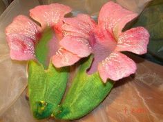 some pink flowers are sitting in a vase