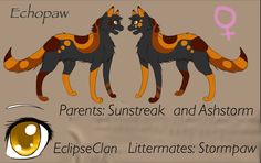 an image of two animals with the words echopaw and parents sunstrack and ashstorm