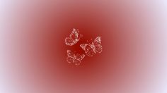 three butterflies flying in the air on a red and white background