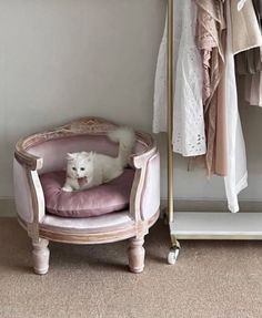 a white dog sitting in a pink chair next to a rack with clothes on it