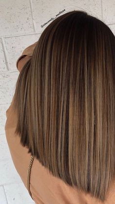 Brown Balayage Hair, Dark Brown Hair Balayage, Balayage Straight Hair, Brown Hair With Blonde Highlights, Hair Color Light Brown, Brown Hair Balayage, Brown Balayage, Light Hair Color, Brown Blonde Hair