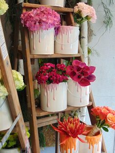 several buckets with flowers in them are on a shelf next to a wooden ladder