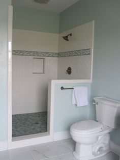 a white toilet sitting next to a walk in shower