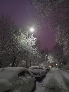 snow covered cars parked along a street at night