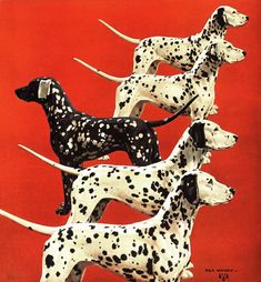 four dalmatian dogs standing in a row on the cover of maclean's magazine