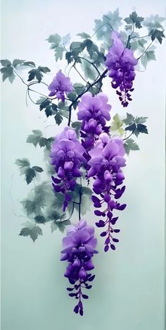 purple flowers hanging from the side of a white wall