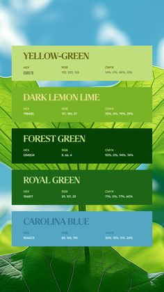 Colors:
C0DE7B
79B425
054204
1D6517
55A6C3 Pantone Trends, Best Of Luck, Hex Codes