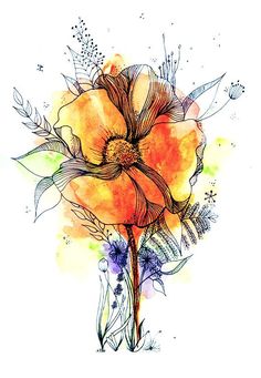 an orange flower with watercolor and ink on paper, in front of a white background