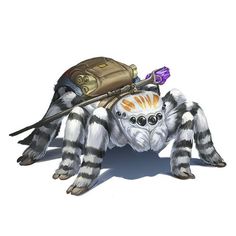 a spider with a backpack on its back