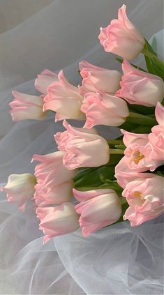 a bouquet of pink tulips on a white background