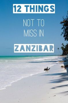 a beach with the words 12 things not to miss in zanzar on it