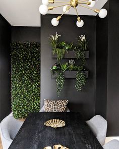 a dining room with black walls, white chairs and green plants on the back wall