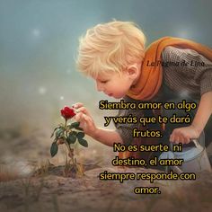 a little boy kneeling down and holding a flower in his hand with the caption'sempre responade de l'e - life '