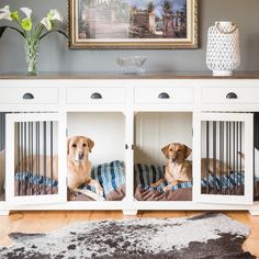 two dogs sitting in their kennels on the floor