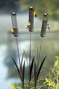 three bird feeders sitting on top of grass next to water