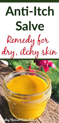 Dandelion Salve, Itchy Skin Remedy, Rashes Remedies, Salve Recipes, Herbal Salves, Itching Skin, Scaly Skin, Dry Itchy Skin, Anti Itch