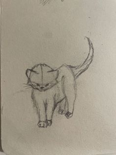 a drawing of a cat standing on its hind legs