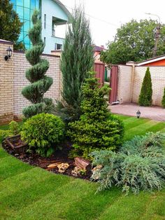 a garden with green grass and trees in it