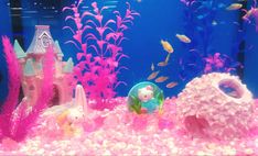 an aquarium filled with lots of different types of fish and corals in pink water