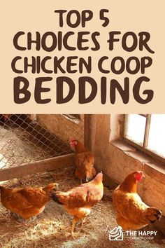 chickens in their coop with the words top 5 choices for chicken coop bedding