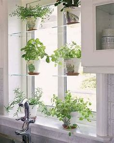 a window sill filled with potted plants next to a sink