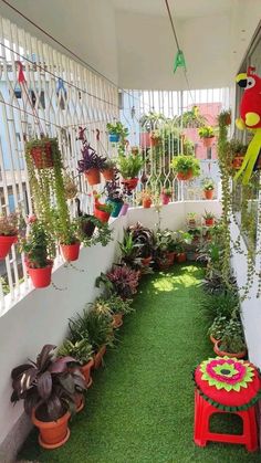 a room filled with lots of potted plants on top of green grass covered ground