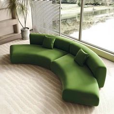 a green curved couch sitting in front of a window next to a potted plant