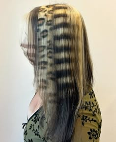 Coontail Hair, Hair Inspo Y2k, Racoon Tail Hair, Y2k Highlights, Cheetah Print Hair, Wig Design, Hair Y2k, Hair Stripping, Hair Pattern