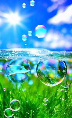 soap bubbles floating in the air on top of green grass with blue sky and clouds